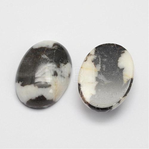 Natural Zebra Jasper Cabochons G-D860-A13-1