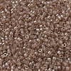 MIYUKI Delica Beads Small SEED-X0054-DBS0102-3