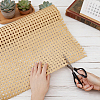 PE Wicker AJEW-WH0410-272A-02-3