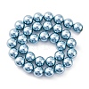Shell Pearl Beads Strands BSHE-K015-12mm-02-4