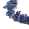 Natural Kyanite Chip Beads Stretch Bracelets for Men Women BJEW-L693-001-3