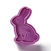 Easter Themed PET Plastic Cookie Cutters DIY-K056-09-2