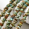 Natural HuBei Turquoise Bead Strands G-H345-A01-04-1