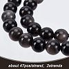 Olycraft 2 Strands Natural Silver Obsidian Beads Strands G-OC0002-61B-3