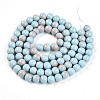 Baking Paint Glass Beads Strands DGLA-N012-10mm-06-2