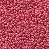 TOHO Round Seed Beads SEED-JPTR11-0405F-2