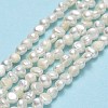 Natural Cultured Freshwater Pearl Beads Strands PEAR-A005-05I-01-2