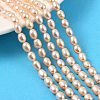 Natural Cultured Freshwater Pearl Beads Strands PEAR-I007-01A-03B-1