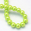 Baking Painted Pearlized Glass Pearl Round Bead Strands HY-Q003-6mm-66-4