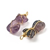 Natural Fluorite Pendants G-K338-30G-01-2