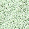 Baking Paint Glass Seed Beads SEED-P006-03A-33-3