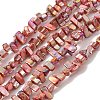 Natural Freshwater Shell Beads Strands BSHE-H018-07-2