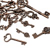 Tibetan Style Alloy Pendants FIND-D040-01R-2