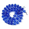 Natural Blue Agate(Dyed & Heated) Beads Strands G-H057-A14-02-3