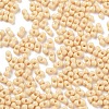 Baking Paint Glass Seed Beads X1-SEED-A033-05G-4