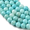 Natural Striped Stone Beads Strands G-B192-B01-10mm-4
