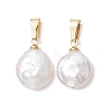Natural Baroque Pearl Keshi Pearl Pendants PALLOY-JF05373-1