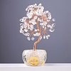 Natural Quartz Crystal Sculpture Display Decorations PW-WG149A9-01-1