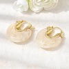 Brass Resin Hoop Earrings EJEW-P333-11C-G01-2