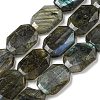 Natural Labradorite Beads Strands G-P544-B08-01-1