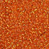 12/0 Glass Seed Beads SEED-A005-2mm-29-2