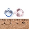Transparent Acrylic Pendants AC-CBA53C6-04-3
