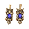 304 Stainless Steel Rhinestone Pendants RB-CBA7A56-08AG-01-1