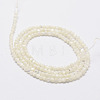 Natural White Shell Beads X-G-N0190-11-2mm-3