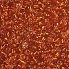 8/0 Glass Seed Beads X2-SEED-A005-3mm-29-2