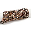 Natural Alashan Agate Beads Strands G-C181-B05-03-2
