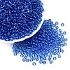 FGB Transparent Glass Seed Beads SEED-N013-01A-04-1