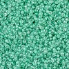 MIYUKI Round Rocailles Beads SEED-JP0008-RR0219-3