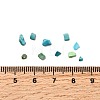 Dyed & Heated Natural Magnesite Chip Beads G-L453-01-4