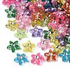 Plastic Star Beads KY-Q002-09-1
