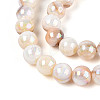 AB Color Natural Freshwater Shell Beads Strands X-BSHE-T014-40B-3
