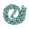 Transparent Glass and Enamel Beads Strands GLAA-T034-01C-1
