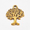 Tibetan Style Alloy Pendants GLF10394Y-1