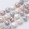 Natural Pearl Beaded Necklaces NJEW-P149-01C-2