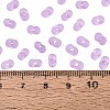 FGB Frosted Transparent Glass Seed Beads SEED-N013-06A-07-4