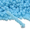 TOHO 3/0 Round Beads SEED-TR03-0143F-2