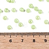 Glass Seed Beads SEED-T007-01L-4