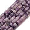 Natural Lepidolite/Purple Mica Beads Strands GG-CBA8682-B08-2