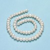 Natural Cultured Freshwater Pearl Beads Strands PEAR-F018-17D-01-3