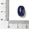 Natural Lapis Lazuli Beads G-T149-01C-3