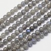 Natural Labradorite Round Bead Strands X-G-I156-01-6mm-1