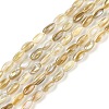 Natural Freshwater Shell Beads Strands X-BSHE-G036-03-1