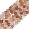 Natural Moonstone Beads Strands G-L650-M01-01-2