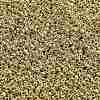 TOHO 11/0 Round Beads X-SEED-TR11-PF0557-2