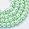 Baking Painted Pearlized Glass Pearl Round Bead Strands HY-Q003-6mm-04-1
