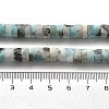 Natural Larimar Beads Strands G-Q024-B03-04-5